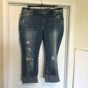 Lane Bryant Size 18 Straight  High Rise Jeans NEW